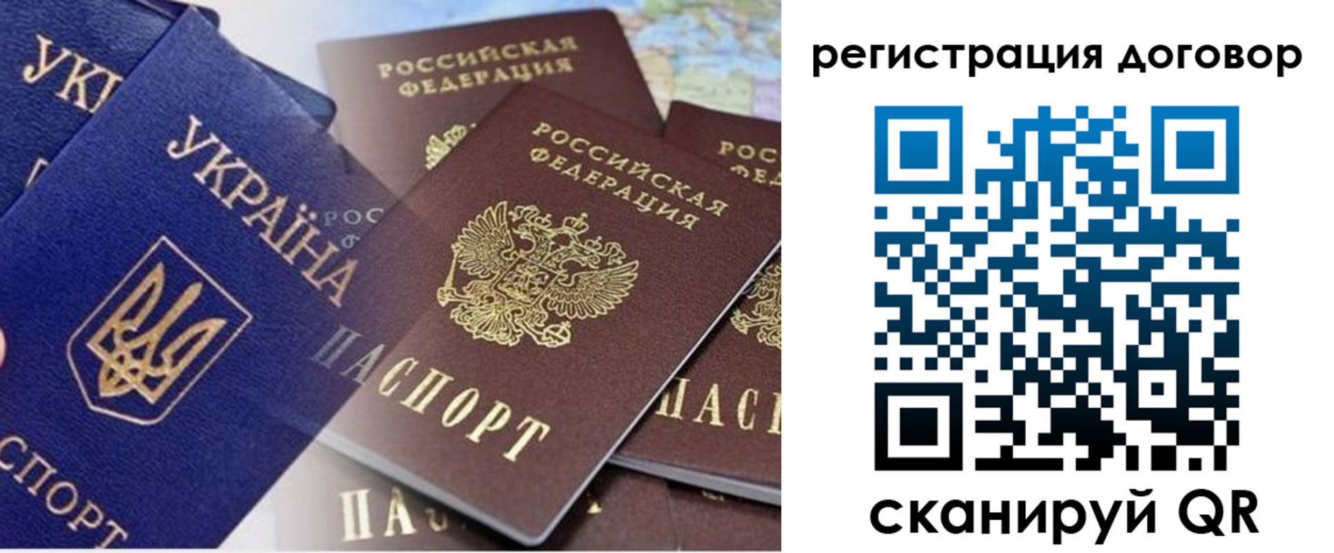 прописка гарантия в Сертолово